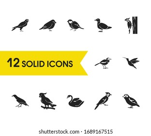 Fauna icons set with tit bird, raven and canary elements. Set of fauna icons and starling bird concept. Editable vector elements for logo app UI design.
