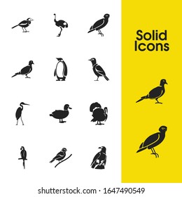 Fauna icons set with turkey, wagtail and penguin elements. Set of fauna icons and stork concept. Editable vector elements for logo app UI design.