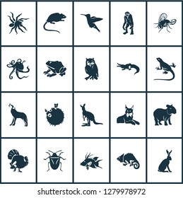 Fauna icons set with turkey, wolf, capybara and other joey elements. Isolated vector illustration fauna icons.