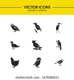 Fauna icons set with wagtail, hen and starling bird elements. Set of fauna icons and macaw concept. Editable vector elements for logo app UI design.