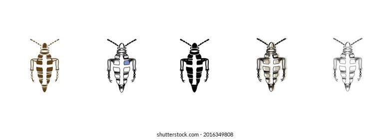 fauna insect vector type icon
