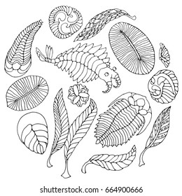 Fauna of Neoproterozoic and Paleozoic Era. Black pen illustration on white background. Anomalocaris, Vendia, Dickinsonia, Charnita, Trilobita.