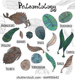 Fauna of Neoproterozoic and Paleozoic Era. Bright illustrations with titles on white background. Anomalocaris, Vendia, Dickinsonia, Charnita, Trilobita.