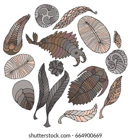 Fauna of Neoproterozoic and Paleozoic Era. Bright illustration on white background. Anomalocaris, Vendia, Dickinsonia, Charnita, Trilobita.