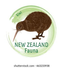 Fauna Of New Zealand. Kiwi