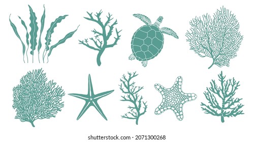 Fauna of the ocean. Vector set of nine elements of the underwater world: silhouettes of a turtle, kelp, coral, starfish isolated on a white background.