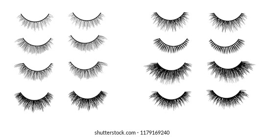 Faux lashes set isolated on white background, Vector illustration