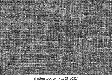 Faux pattern, inclusivity, gender-neutral home styling background. Vector illustration a different perspective. Floral visuals that make an impact.
