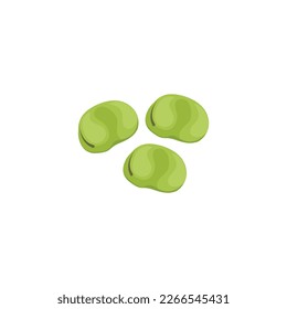 Fava bean. Broad bean. Vector illustration isolated on white background. For template label, packing, web, menu, logo, textile, icon