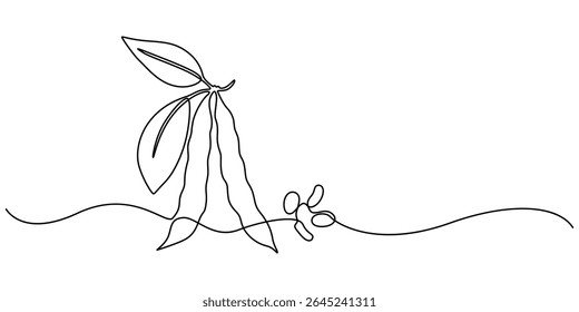 Fava beans contínuo uma linha arte desenho orgânico fava beans, pro vetor ilustração isolado no fundo branco. feijão vetor padrão para vegan, Uma linha desenho café grãos, estilo minimalista.