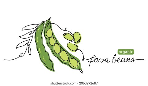 Fava beans simple color vector illustration. One continuous line art drawing with lettering organic fava beans.