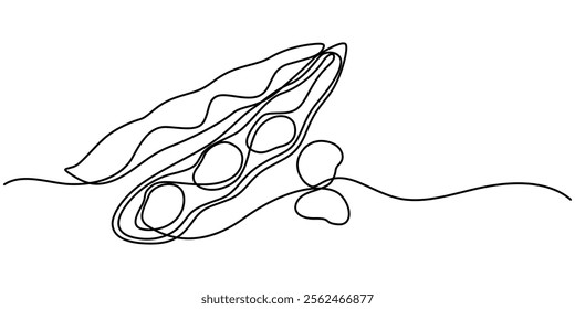 Fava beans simple color vector illustration. One continuous line art drawing with lettering organic fava beans, pro vector illustration isolated on white background.  beans vector pattern for vegan.