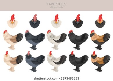 Faverolles Chicken breeds clipart. Poultry and farm animals. Different colors set.  Vector illustration