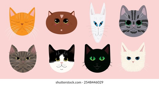 Favorite domestic cats. Faces of different cat breeds.