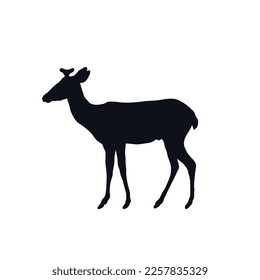 Fawn baby deer logo icon sign. Young deer animal emblem silhouette Natural design Cute style Fashion print for clothes apparel greeting invitation card educational banner badge poster flyer cover ad