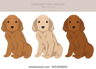 Fawn Brittany Griffon puppy  clipart. Different coat colors set.  Vector illustration