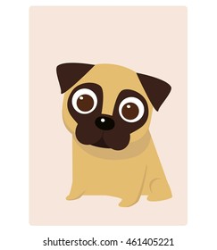 Fawn Colored Pug