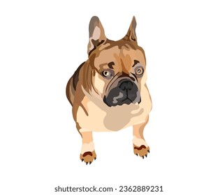 Retrato de perro Bulldog francés Fawn. Pegar en un fondo blanco. Dibujo detallado de bulldog. Estilo de caricatura. Carácter popular. Estilo caricaturista. Perro de crema con una extraña mirada graciosa. Vista superior.