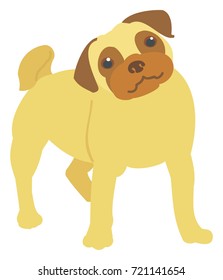 Fawn Pug Standing Up with happy expression