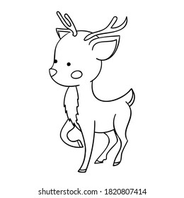 fawn raising its front leg contour on the white background