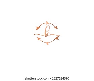 FC handwriting initial  logo vector