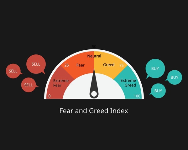 Market Risk Analysis: Record-High CAPE Ratio Meets Extreme Fear Indicator
