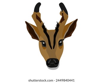 Fea es muntjac sobre un fondo blanco.