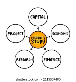 Estudio de viabilidad - evaluación de la viabilidad de un proyecto o sistema propuesto, concepto de mapa mental para presentaciones e informes