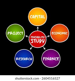 Feasibility study - assessment of the practicality of a proposed project or system, mind map concept for presentations and reports