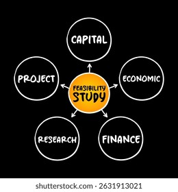 Estudo de viabilidade - avaliação da praticidade de um projeto ou sistema proposto, plano de fundo do conceito do mapa mental