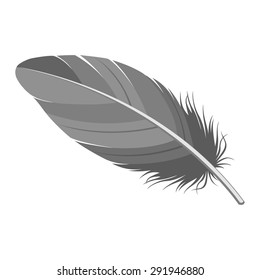 Feather