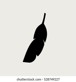 Feather
