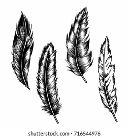 feather