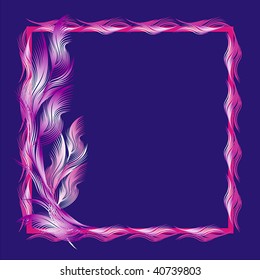 FEATHER 3