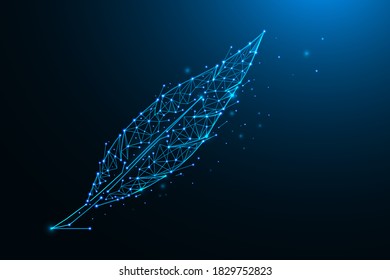 Feather abstract polygonal illustration. Feather made from lines and dots vector illustration on a dark blue background