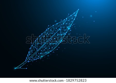 Feather abstract polygonal illustration. Feather made from lines and dots vector illustration on a dark blue background
