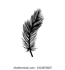 Feather art illustration. Isolated template poster in monochrome. Vector minimal freehand brush drawing for t-shirt, print, sticker, greeting cards and other design.