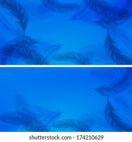 Feather background