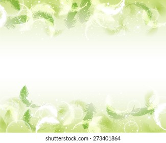 feather background