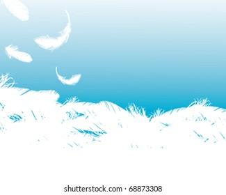 feather background