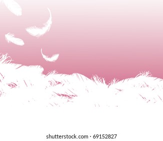 feather background
