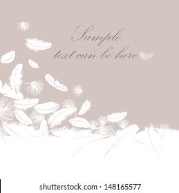 Feather background with copy space for text 