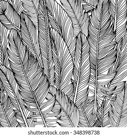  Feather  Background, Hand Drawn In Vector.
