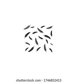 Feather background pattern illustration design