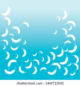 Feather background wallpaper ilustration vector
