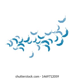 Feather background wallpaper ilustration vector