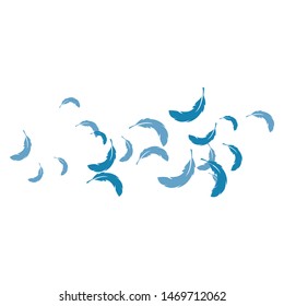 Feather background wallpaper ilustration vector