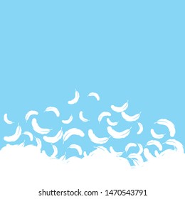 Feather background wallpaper ilustration vector