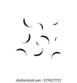 Feather background wallpaper ilustration vector