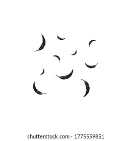 Feather background wallpaper ilustration vector